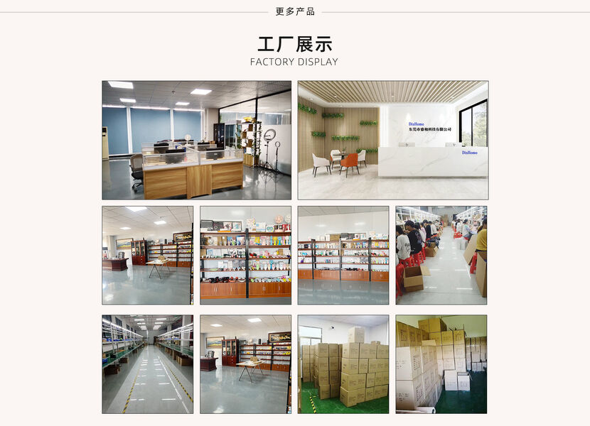 Dongguan Ruihe Electronic Technology Co., Ltd